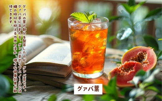 厳選沖縄茶3種セット【グァバ茶・のに茶・コーヒーリーフティー】