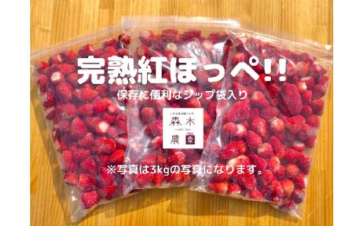 冷凍 いちご 苺 3kg 完熟 紅ほっぺ ヘタ取り いちご 静岡 限定 苺 冷凍いちご 果物 スイーツ いちご 紅ほっぺ 牧之原市 デザート フルーツ スイーツ アイス ジャム シャーベット ベリー 氷菓 冷凍 甘い オススメ ギフト 人気 紅ほっぺ 牧之原市 森木農園