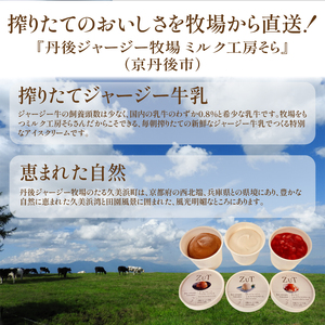 ZuT 溶けにくい アイス 12個(3種×各4) ミルク アイスクリーム チョコレート アイスクリーム イチゴ アイスクリーム スイーツ アイスクリーム デザート アイスクリーム 人気 アイスクリーム