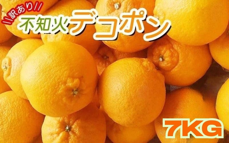 
            【数量限定】ちょこっと訳あり 不知火 デコポン 約7kg【ご家庭用】＼光センサー選別／ ※2026年2月中旬～4月中旬ごろ順次発送予定（お届け日指定不可） 不知火 デコポン 柑橘 みかん 果物 くだもの フルーツ 和歌山 果実 みかん【nuk179】
          