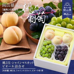 CT-3【令和8年発送】桃・シャインマスカット・ピオーネ詰合せ