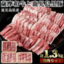 【ふるさと納税】薩摩和牛と鹿児島黒豚の焼肉セット(合計1.3kg・肩ロース バラ焼肉用500g、モモもしくはカタ焼肉用 400g、黒豚バラ焼肉用 400g)国産 九州産 和牛 黒豚 豚肉 ロース 肩肉 カタ バラ 焼肉【さつま屋産業】