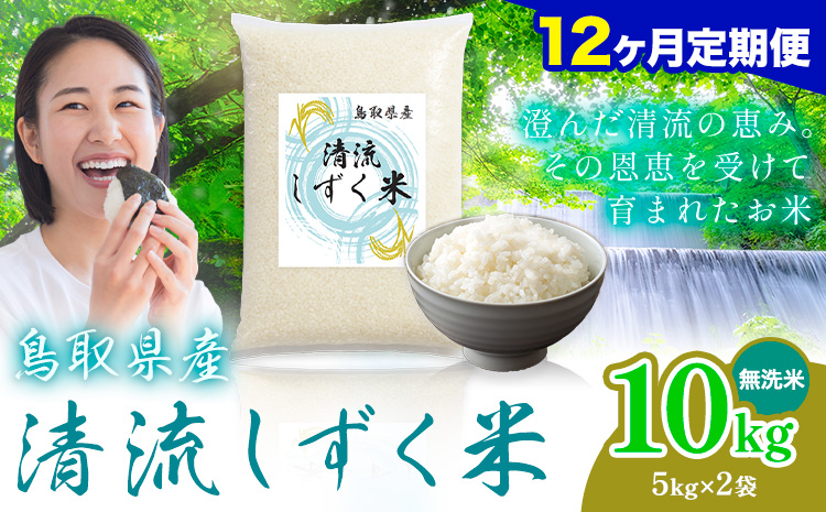 【12ヶ月定期便】鳥取 ふるさと 無洗米 10kg  清流しずく米《お申し込み月の翌月から出荷開始》鳥取県 八頭町 米 お米 ご飯 八頭 ふるさと無洗米 生活応援 ブレンド米 複数原料米 訳あり 小分け kome ご飯