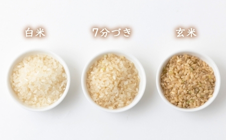 【12ヶ月定期便】みずほファーム UKIHA RICE (七分搗き5kg×12ヶ月)  【2025年11月より順次発送予定】 米 ヒノヒカリ お米 ご飯 うきは市