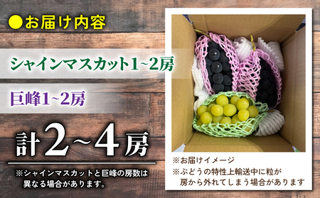 【おがわら農園】家庭用欲張りセット！（シャインマスカット1房・種無し巨峰1～2房）約850～900g