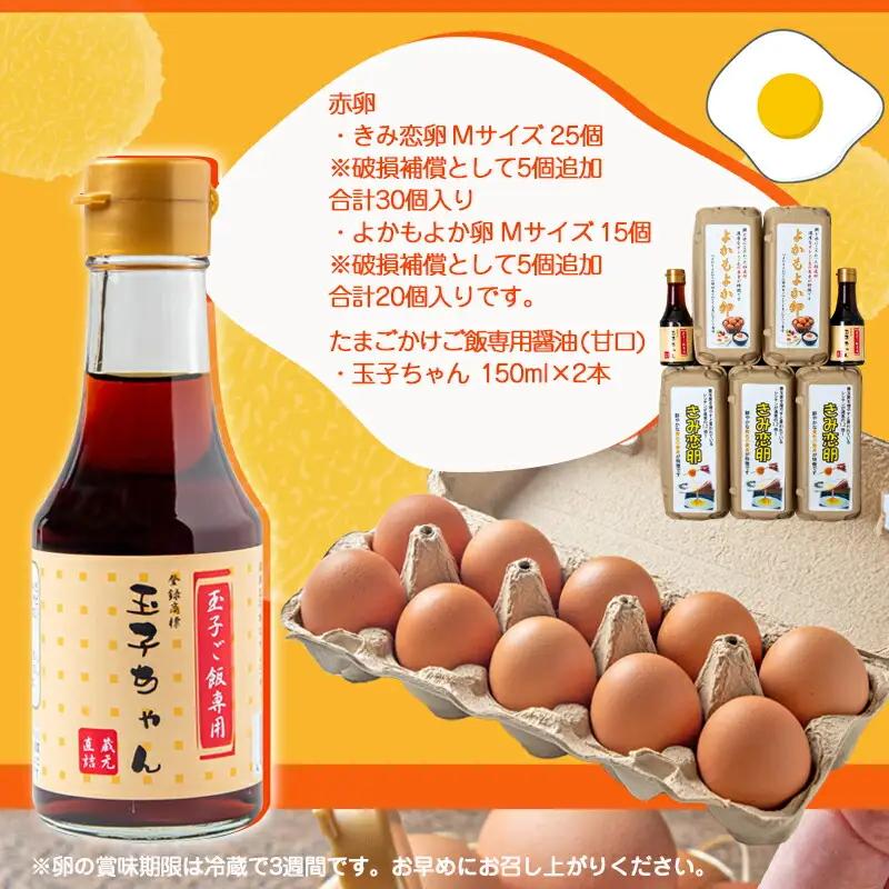 「きみ恋卵」と「よかもよか卵」のたまごかけご飯セット〔AO-29-002〕_(都城市) きみ恋卵 よかもよか卵 Ｍサイズ たまごかけご飯専用醤油「玉子ちゃん」 甘口 卵かけご飯 朝ごはん 朝食