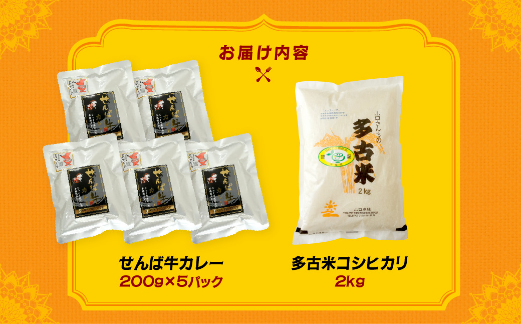 ご飯にはやっぱりカレー!「多古米コシヒカリ2kg」と「せんば牛カレー200g×5」セット【配送不可地域：離島】 TAKF023