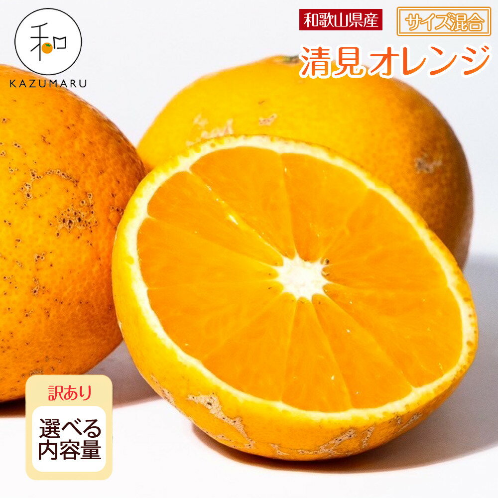 【ふるさと納税】［先行予約］訳あり 森本農園の手選別 清見オレンジ2kg～10kg 和歌山県産 サイズ混合 ［北海道・沖縄・離島配送不可］ | みかん 蜜柑 フルーツ 果物 くだもの 食品 人気 おすすめ 送料無料