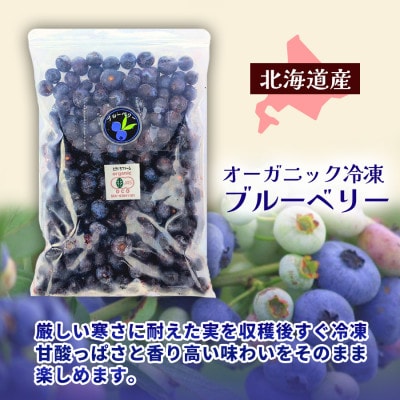 【令和8年8月以降出荷】有機JAS認証 冷凍ブルーベリー2.5kg(500g×5袋)【北海道十勝産】【配送不可地域：離島】【1677073】