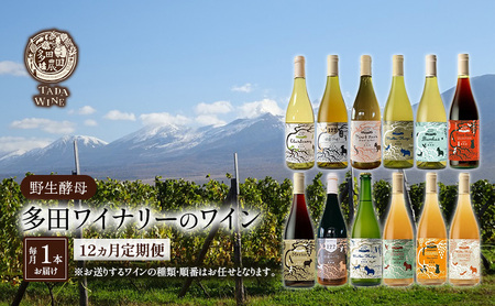ワイン 多田ワイナリー 野生酵母 赤白泡オレンジ ワイン【月1本×12回】【12ヵ月定期便】