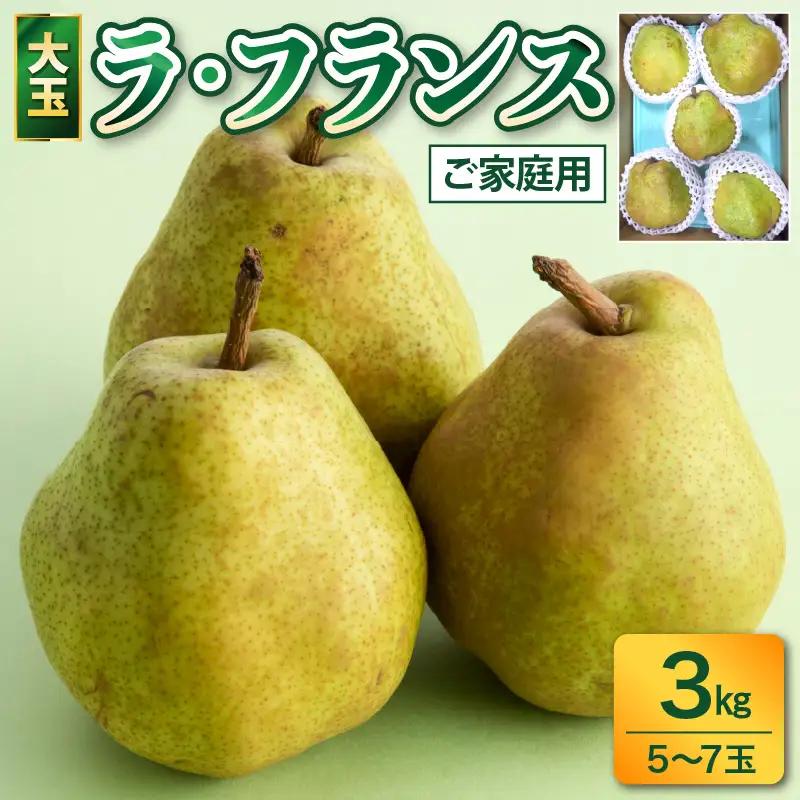 訳あり(ご家庭用) ラフランス 3kg 大玉 西洋梨 果物 山形 ラ・フランス 0017-2646