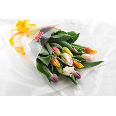 チューリップ切花(20本)【1375903】