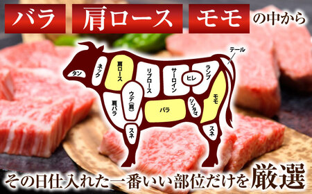 【全6回定期便】【A4~A5】長崎和牛焼肉用　1kg（500g×2p）【株式会社 MEAT PLUS】[QBS037]