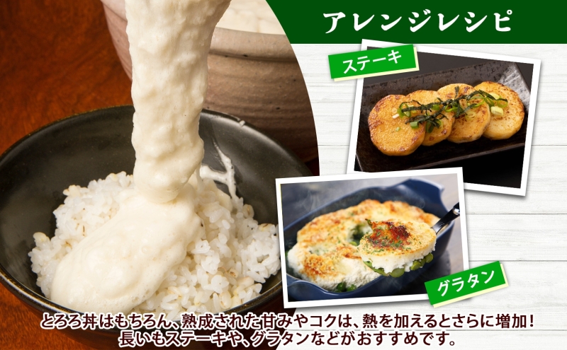北海道産 長いも 春夏出荷 約5kg 2025年5月上旬～7月下旬頃お届け 長芋 ながいも とろろ 農作物 野菜 新鮮 根菜  山かけ 産地直送 お取り寄せ 送料無料 冷蔵 北海道 洞爺湖町