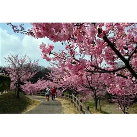 【返礼品なし】子育て支援に関する事業