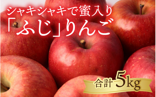 【先行予約】りんご【令和6年11月中旬以降順次発送】エコファーマー認定