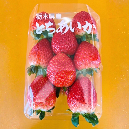 【先行予約】出会いの森いちご園 とちあいか （290g×2パック） | いちご イチゴ 苺 栃木県 果物 くだもの フルーツ とちあいか 新鮮 贈答 ギフト デザート スイーツ ※2026年12月～発