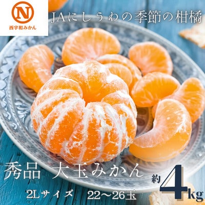 JAにしうわの季節の柑橘(八幡浜共選「秀品2L大玉みかん」約4kg)【C08−72】【1443223】