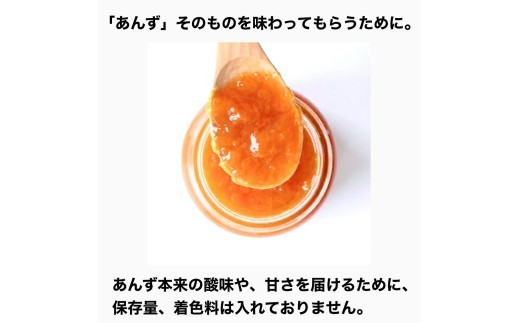 あんず本来の味を活かした手づくりジャム