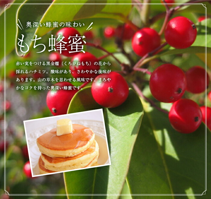 【10月8日～八女の日企画】かの蜂 国産蜂蜜 4種セット とんがりプラ容器 2kg（500g×4） はちみつ はちみつ みかん 百花 そよご もち ハチミツ ボトル 非加熱 ハニー お取り寄せ 保存食 福岡県 八女市