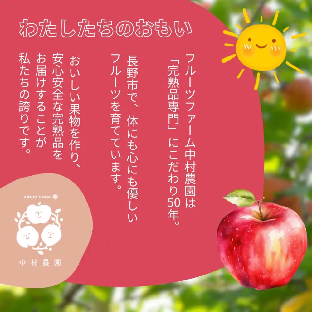 フルーツファーム中村農園　【10月上旬発送 先行予約】樹上熟成　秋映 3kg | りんご 秋映 りんご