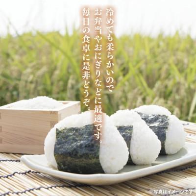 ふるさと納税 大子町 【新米】立神米こしひかり【10kg・白米・大子町産】令和7年産 谷田部農産|茨城県 大子産米 |  | 01