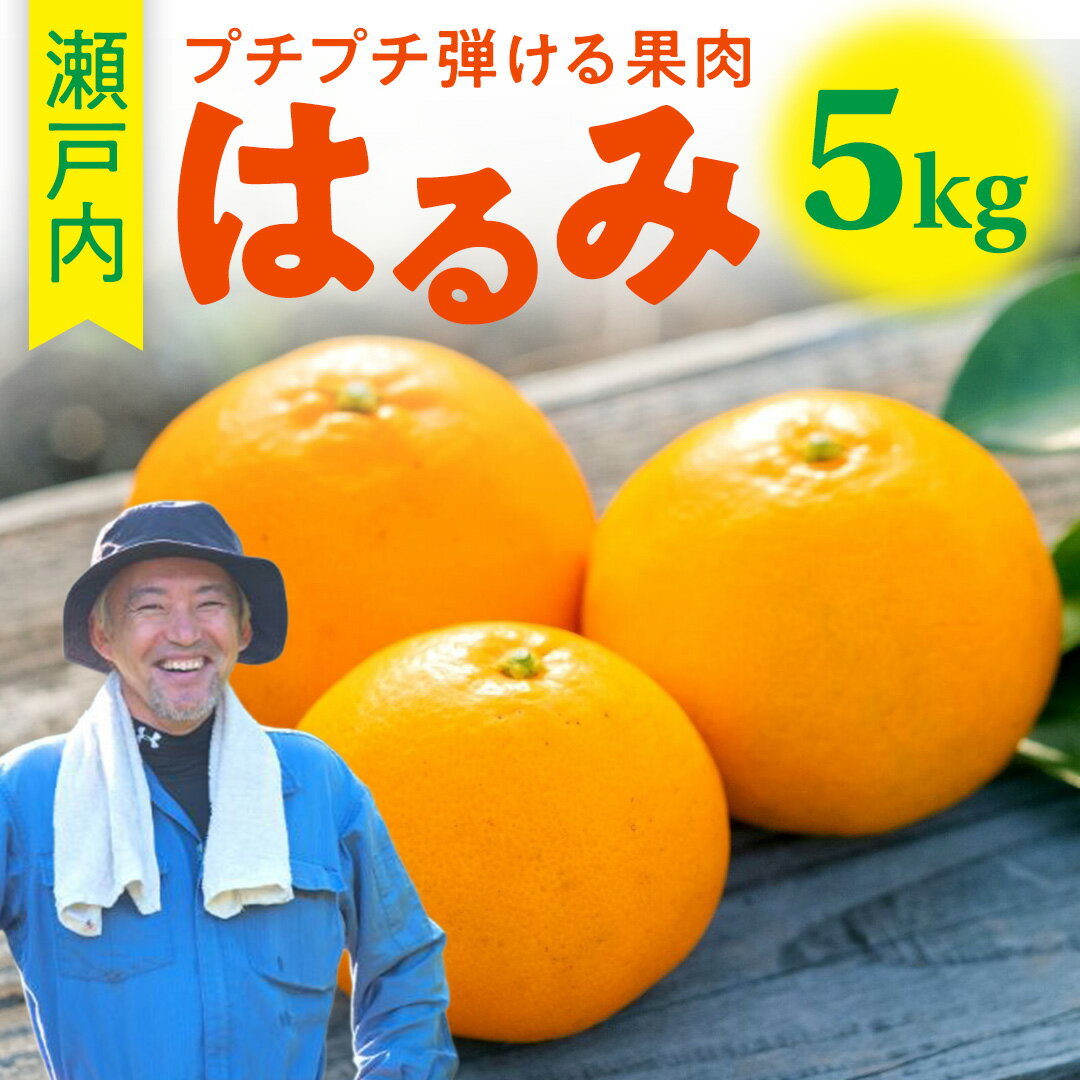 【ふるさと納税】1~2月発送予定 こいけ農園 はるみ 約5kg 広島県 大崎上島町 瀬戸内 離島 濃厚 果物 フルーツ 柑橘 みかん 送料無料 産地直送