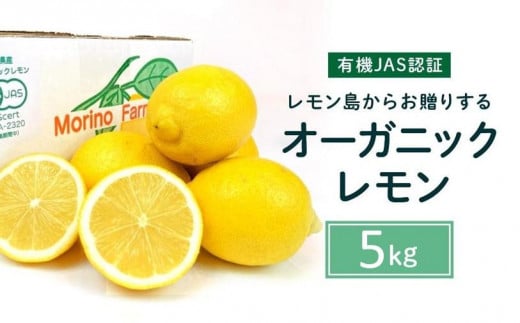 【有機JAS認証】レモン島からお贈りするオーガニックレモン 5kg 有機レモン 2025年2月以降順次発送予定 産直 国産 有機栽培