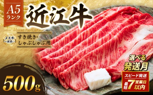 近江牛 A5 特上ロース すき焼き 500g 最短7営業日以内発送 スピード発送 A5ランク メス牛 特上 近江牛ロース ロース 牛肉 肉 お肉 和牛 黒毛和牛 国産牛 日本三大和牛 雌牛 ブランド牛 すきやき しゃぶしゃぶ お歳暮 おすすめ 滋賀 彦根