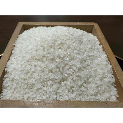 ふるさと納税 南魚沼市 【令和7年産】南魚沼産コシヒカリ 精米 白米5kg |  | 02