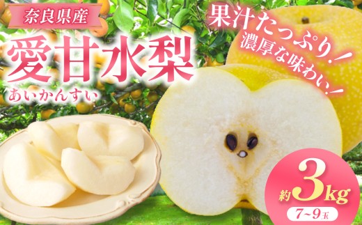 G21 愛甘水 2L～4L 約3kg 7～9玉 | 果物 くだもの フルーツ 梨 愛甘水 奈良県 大淀町 季節限定 産地直送 真田園