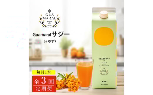 【定期便3カ月】サジー グアマラルサジー＋ゆず 1000ml　毎月1本3カ月コース｜サジージュース サジー シーベリー 沙棘 グアマラル 健康ドリンク 健康 美容 栄養 果汁 鉄分補給 栄養補給 健康食品 ギフト 贈答 贈り物 プレゼント お祝 ご褒美 記念日 記念品 お中元 お歳暮 _DX23
