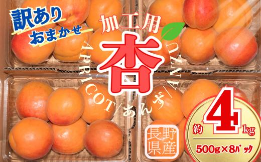 【2027年先行予約】訳あり あんず おまかせ加工用 計約4kg(約500g×8パック)| 杏子 アプリコット 信州 長野県 千曲市