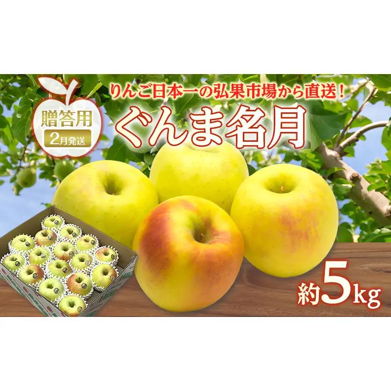 りんご 【 2月発送 】 贈答用 ぐんま名月 約 5kg　リンゴ 林檎 青森りんご 糖度 13度 甘い 酸味 デザート フルーツ 果物 お取り寄せ 産地直送 旬 季節限定 弘果物流 青森県 西目屋村 西目屋村産