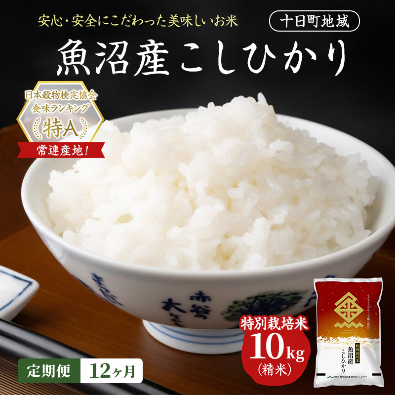 【12ヶ月定期便】特別栽培米 魚沼産こしひかり(十日町地域) 精米 10kg(5kg×2) 米 お米 コシヒカリ 定期 十日町市