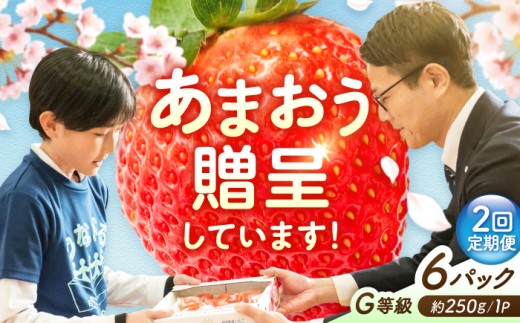 【2回定期便】 あまおうG等級 3ケース（250g×6パック） 広川町 / JAふくおか八女農産物直売所どろや [AFAB085]