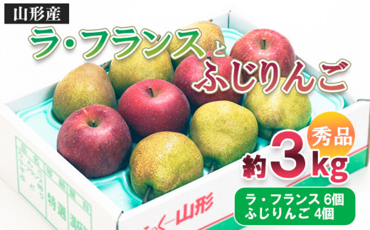 
山形市産 ふじりんご・ラ・フランス 詰合せ 3kg FZ20-523
