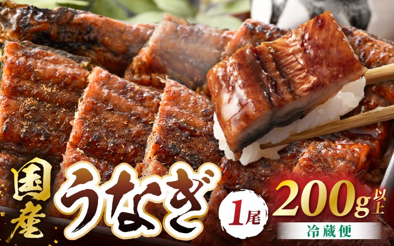 
            国産 うなぎ 蒲焼き （無頭） 1尾 200g～250g  自家製 こだわり 蒲焼きたれ1個・山椒1個付き 【ウナギ かばやき さんしょう うなぎ ウナギ 鰻 蒲焼き 土用丑の日 食べ物 グルメ 国産 おかず 】 [e29-a001]
          