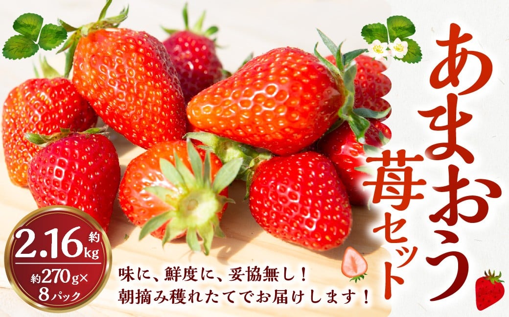 
            【選べる発送期日】 よかもんいちご あまおう苺セット 8パック （計約2.16kg） 【2026年1月上旬～2026年4月下旬お届け】 よかもん苺 苺 いちご イチゴ 果物 果実 フルーツ 九州 福岡県 うきは市 冷蔵
          