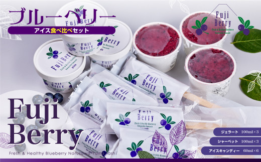 
Fuji Berry ブルーベリーアイス食べ比べセット NSAA007
