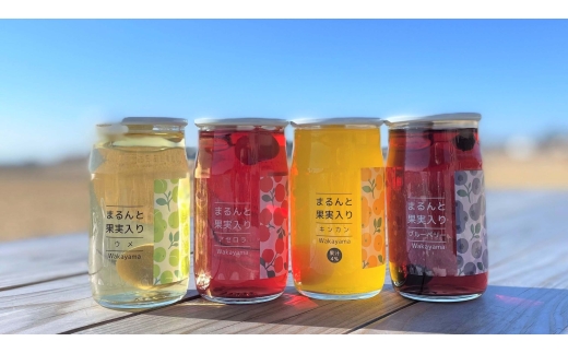 N077　まるんと果実入りドリンクセット１０本セット　　　　　