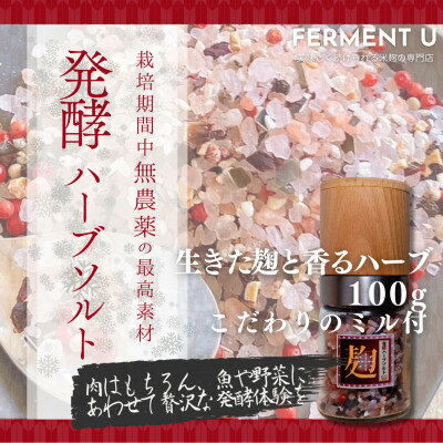 【ふるさと納税】発酵ハーブソルト　米麹の生きた菌とハーブの力で健やかに新感覚の発酵調味料　100g【専用ミル付】【1659815】
