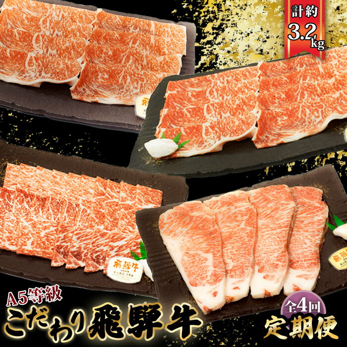 【ふるさと納税】【厳選こだわり牛肉800g定期便】4ヵ月楽しめる贅沢味尽くし [No.1043] ／ お肉 飛騨牛 ロース しゃぶしゃぶ 焼肉 すき焼き ステーキ 送料無料 岐阜県