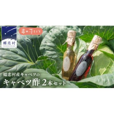 ふるさと納税 嬬恋村 嬬恋産キャベツ100%の熟成「キャベツ酢」2種セット(プレーン&amp;パープル 各120ml)
