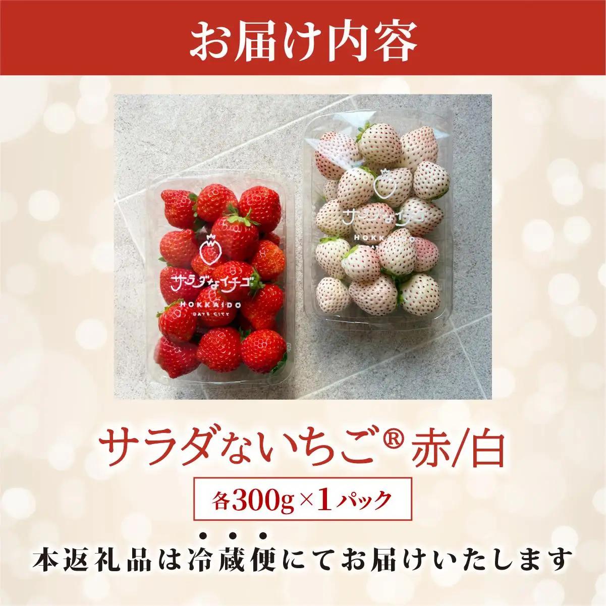 ＜2026年先行予約＞ サラダないちご（赤・白）ご褒美 苺 最旬 贈答 ギフト プレゼント 果物 フルーツ イチゴ 北海道 伊達【ecg-003】