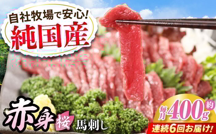 
            【全6回定期便】『純国産』熊本の味「桜」赤身 馬刺し スライス 約400g タレ付【有限会社 九州食肉産業】 [AYCN081]
          