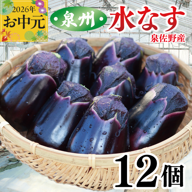 【お中元対応】泉州 泉佐野市産 ハウス水なす 12個【茄子 泉佐野産 とれたて 新鮮野菜 やさい 高評価】 010B1061t