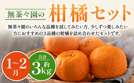 ＜無茶々園の柑橘セット 約3kg（1～2月）＞ フルーツ 果物 くだもの 伊予柑 いよかん イヨカン ポンカン ぽんかん みかん 蜜柑 ミカン 詰め合わせ 詰合せ お楽しみ 食べ比べ お試し おためし