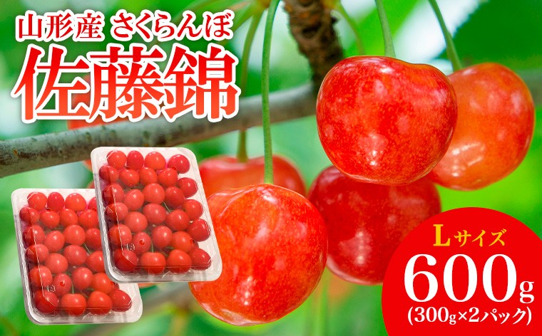 
            山形産 さくらんぼ 佐藤錦 L 600g(300g×2パック入) 【令和8年産先行予約】FS25-506 くだもの 果物 フルーツ 山形 山形県 山形市 2026年産
          