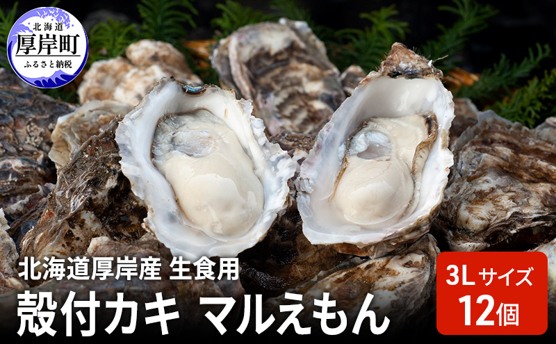 北海道厚岸産 生食用 殻付カキ 3Lサイズ  12個　マルえもん 魚貝類 海の幸 海のミルク 海鮮 国産 北海道産 オイスター つまみ お酒 あて 肴 生牡蠣 メルマガ掲載商品1